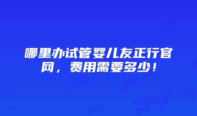 哪里办试管婴儿友正行官网，费用需要多少！