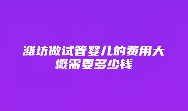 潍坊做试管婴儿的费用大概需要多少钱