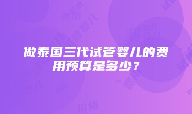 做泰国三代试管婴儿的费用预算是多少？