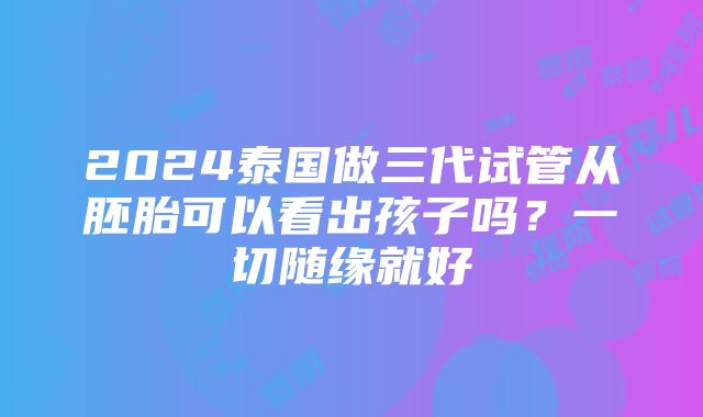 2024泰国做三代试管从胚胎可以看出孩子吗？一切随缘就好