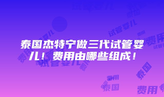 泰国杰特宁做三代试管婴儿！费用由哪些组成！