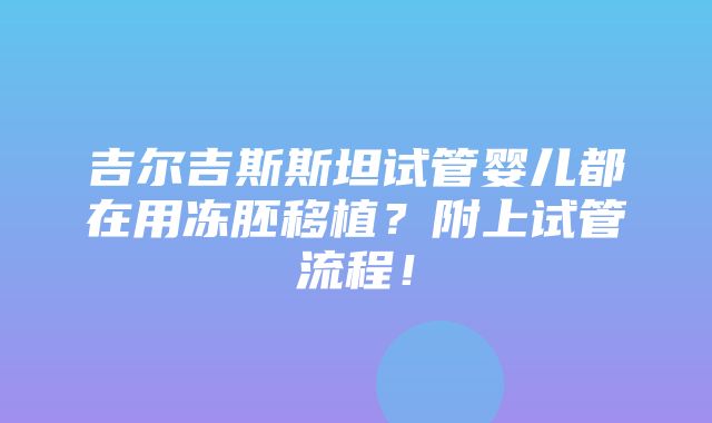 吉尔吉斯斯坦试管婴儿都在用冻胚移植？附上试管流程！