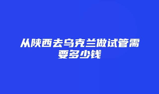 从陕西去乌克兰做试管需要多少钱