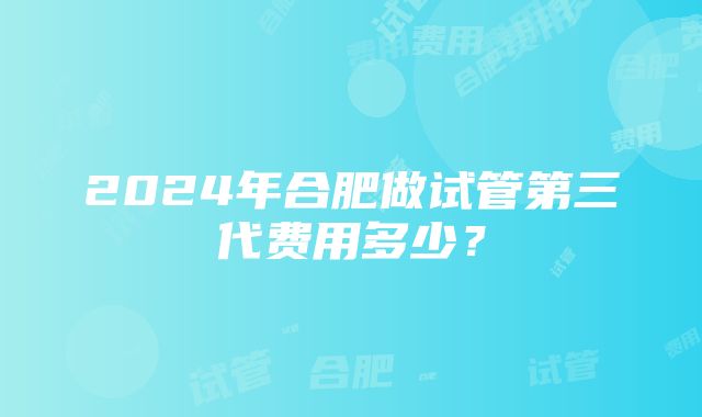 2024年合肥做试管第三代费用多少？