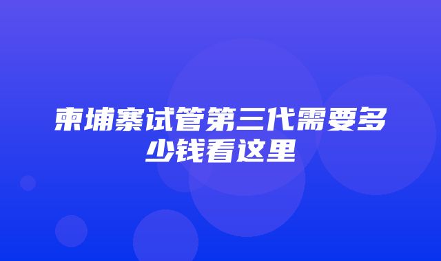 柬埔寨试管第三代需要多少钱看这里