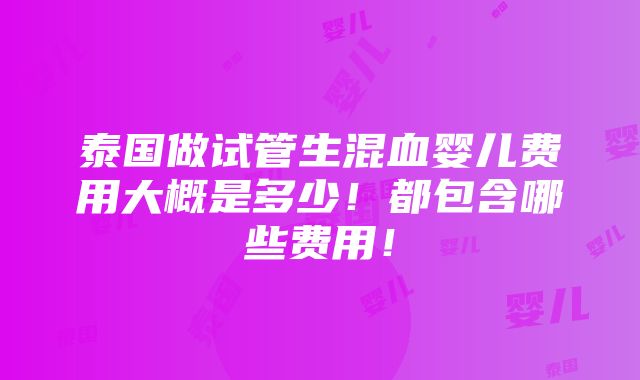 泰国做试管生混血婴儿费用大概是多少！都包含哪些费用！