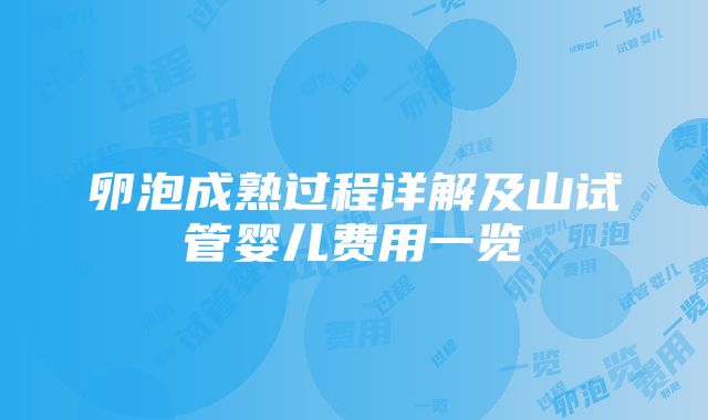 卵泡成熟过程详解及山试管婴儿费用一览