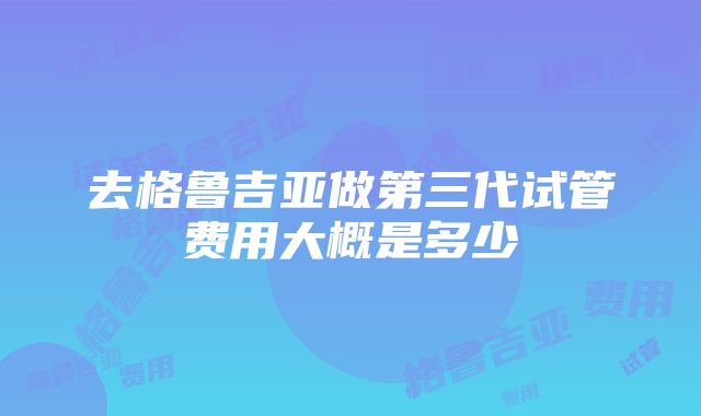 去格鲁吉亚做第三代试管费用大概是多少