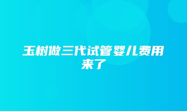 玉树做三代试管婴儿费用来了