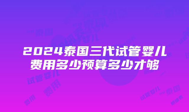 2024泰国三代试管婴儿费用多少预算多少才够