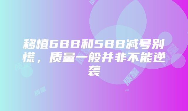 移植6BB和5BB减号别慌，质量一般并非不能逆袭