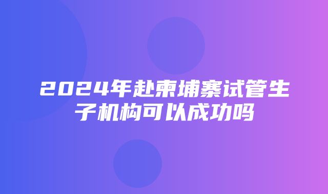 2024年赴柬埔寨试管生子机构可以成功吗