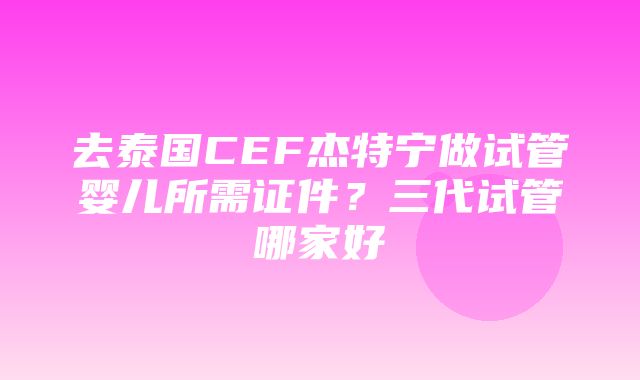 去泰国CEF杰特宁做试管婴儿所需证件？三代试管哪家好