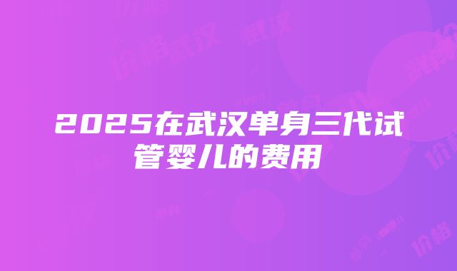 2025在武汉单身三代试管婴儿的费用