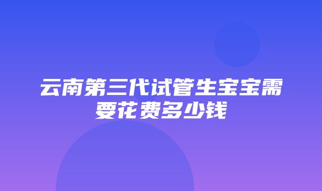 云南第三代试管生宝宝需要花费多少钱