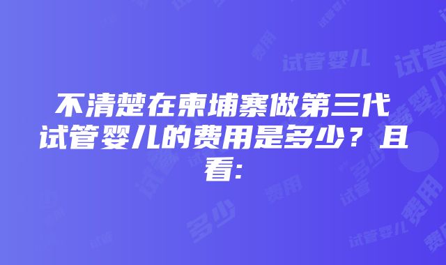 不清楚在柬埔寨做第三代试管婴儿的费用是多少？且看: