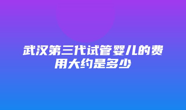 武汉第三代试管婴儿的费用大约是多少