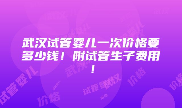 武汉试管婴儿一次价格要多少钱！附试管生子费用！