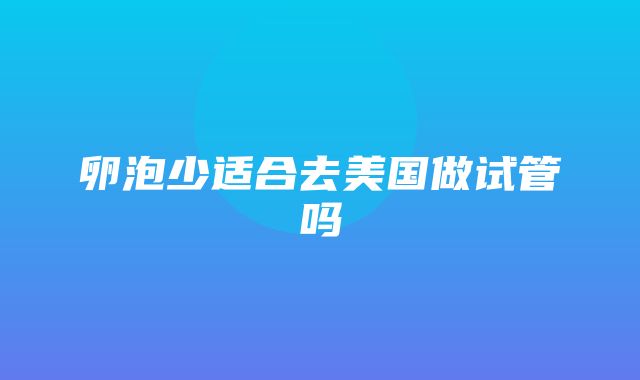 卵泡少适合去美国做试管吗