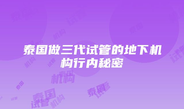 泰国做三代试管的地下机构行内秘密