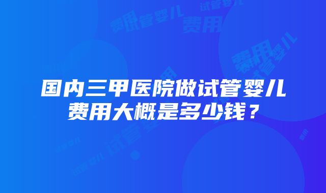 国内三甲医院做试管婴儿费用大概是多少钱？