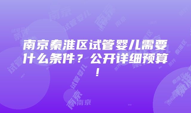 南京秦淮区试管婴儿需要什么条件？公开详细预算！