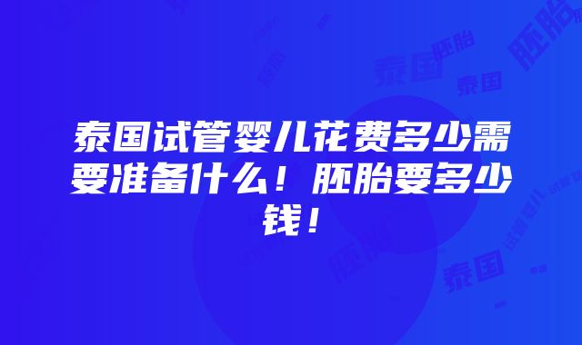 泰国试管婴儿花费多少需要准备什么！胚胎要多少钱！