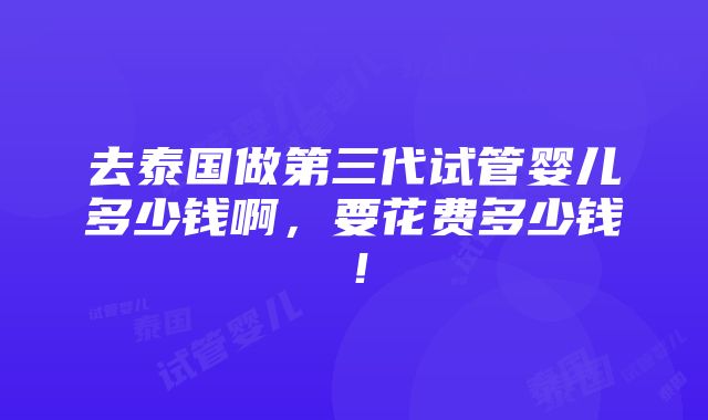 去泰国做第三代试管婴儿多少钱啊，要花费多少钱！