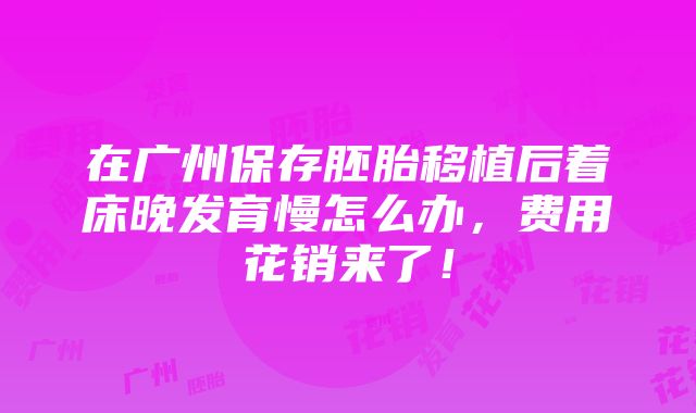 在广州保存胚胎移植后着床晚发育慢怎么办，费用花销来了！