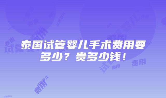 泰国试管婴儿手术费用要多少？贵多少钱！