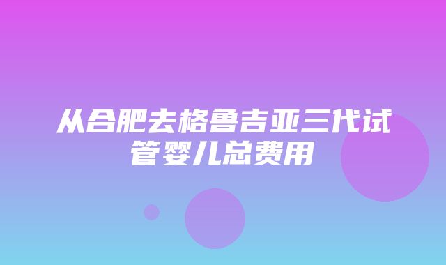 从合肥去格鲁吉亚三代试管婴儿总费用