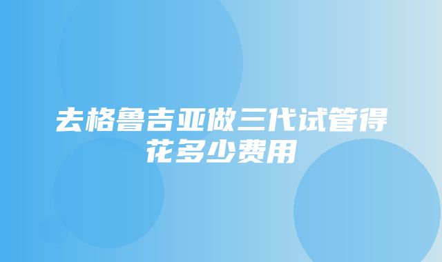 去格鲁吉亚做三代试管得花多少费用