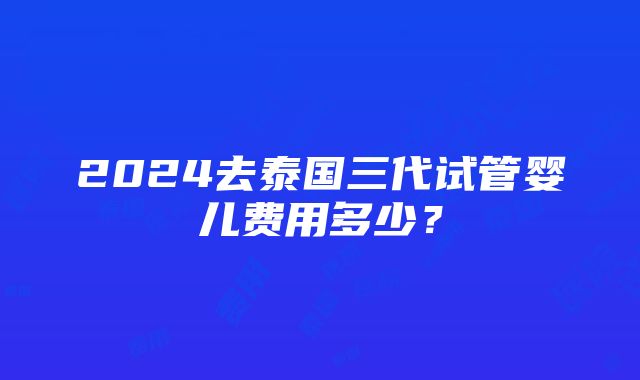 2024去泰国三代试管婴儿费用多少？