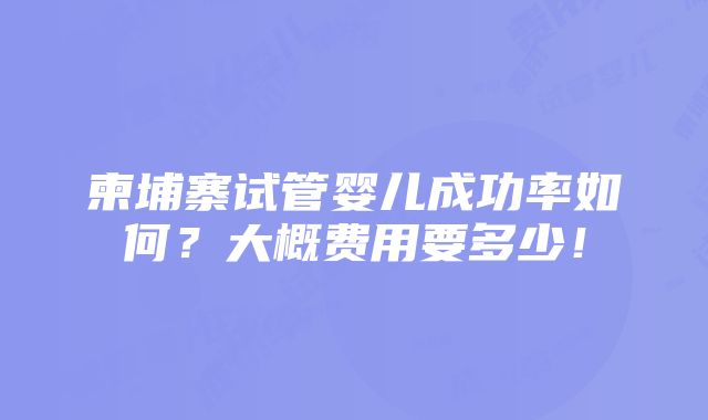 柬埔寨试管婴儿成功率如何？大概费用要多少！