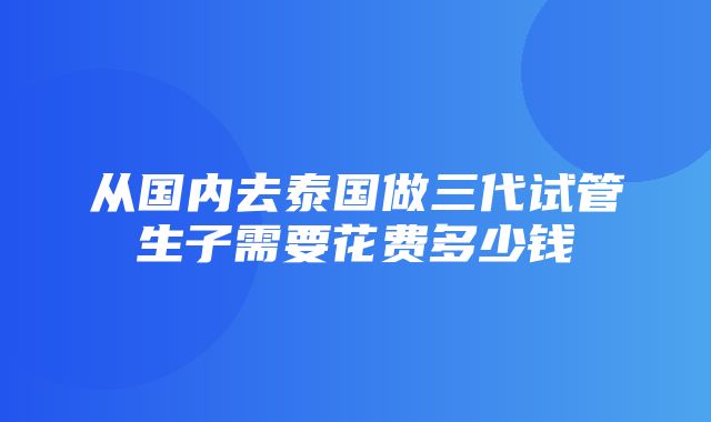 从国内去泰国做三代试管生子需要花费多少钱