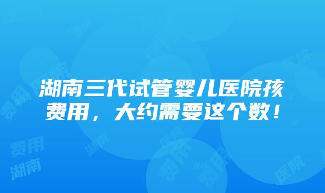 湖南三代试管婴儿医院孩费用，大约需要这个数！