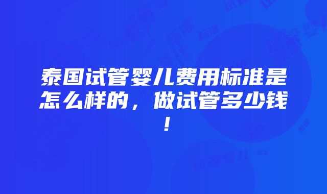 泰国试管婴儿费用标准是怎么样的，做试管多少钱！