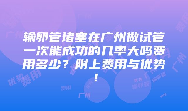 输卵管堵塞在广州做试管一次能成功的几率大吗费用多少？附上费用与优势！