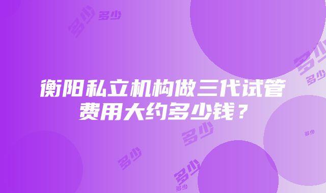 衡阳私立机构做三代试管费用大约多少钱？