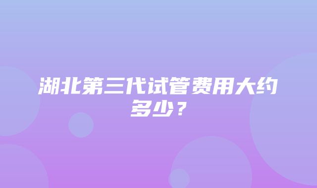 湖北第三代试管费用大约多少？