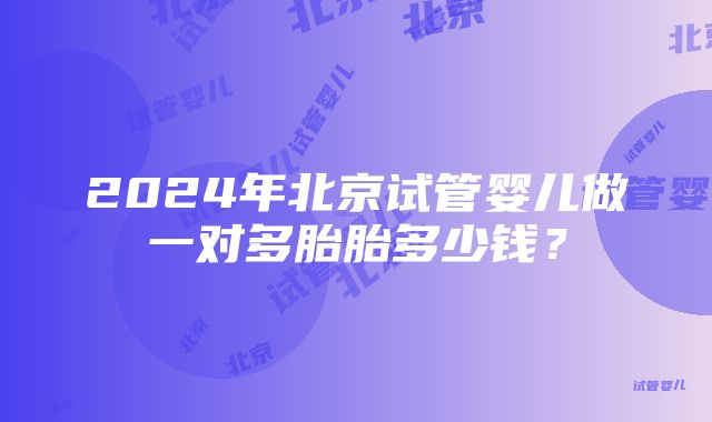 2024年北京试管婴儿做一对多胎胎多少钱？