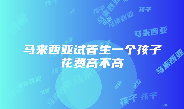 马来西亚试管生一个孩子花费高不高