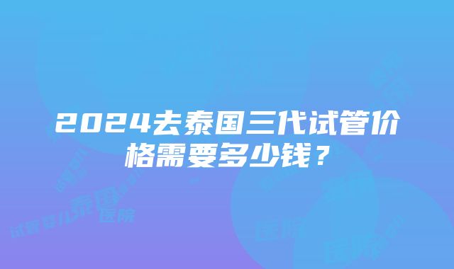 2024去泰国三代试管价格需要多少钱？