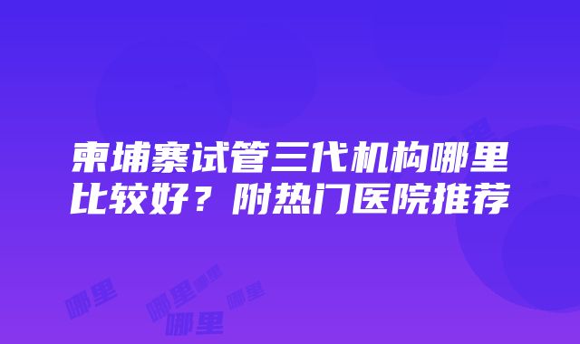 柬埔寨试管三代机构哪里比较好？附热门医院推荐