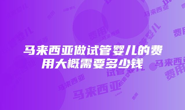 马来西亚做试管婴儿的费用大概需要多少钱