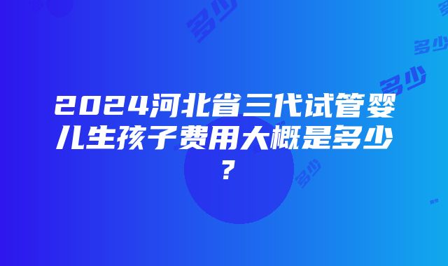 2024河北省三代试管婴儿生孩子费用大概是多少？