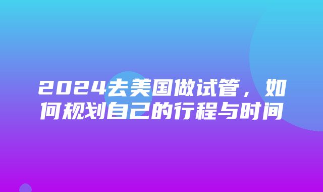 2024去美国做试管，如何规划自己的行程与时间