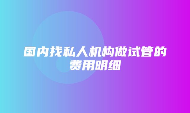 国内找私人机构做试管的费用明细