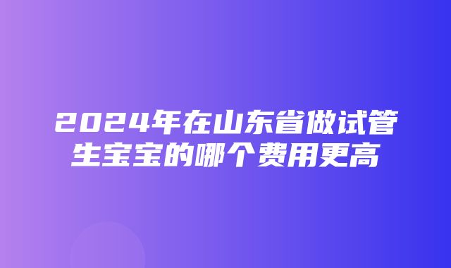 2024年在山东省做试管生宝宝的哪个费用更高