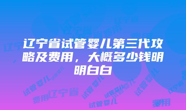 辽宁省试管婴儿第三代攻略及费用，大概多少钱明明白白